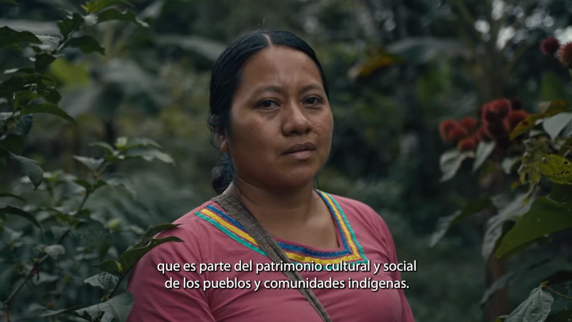 video